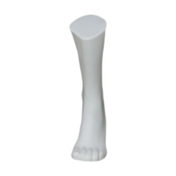 Soporte de pantalla de calcetines para hombres de Mannequin Foot para hombres para uso de uso comercial largo