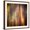 Brown Frame, variant on Art.com Autumn Walk Photographic Print by Ursula Abresch, 24" x 24"