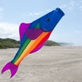 thumbnail image 2 of In the Breeze 4116 — Rainbow Fishy Trout 48 Inch Windsock - Fun Fish Hanging Decoration - Fade Resistant Material for Long Lasting Bright Colors, 2 of 6
