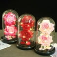 thumbnail image 4 of Steadline Valentine's Day Glass Dome Rose Lamp - LED Illuminated Floral Decor - Romantic Table Centerpiece - Elegant Home Decoration Gift for Anniversary, 4 of 5