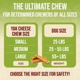 thumbnail image 6 of ToughLove Himalayan Yak Cheese Dog Chews Large 4 Count Long Lasting Natural Dog Treats, 6 of 8