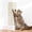 Cream White-19.6x9.8", variant on ​ Corner Cat Scratcher Wall Mounted For Indoor Cats  Pad Door Frame 19.6x9.8 Inch Anti Scratch Furniture Protector Couches And Walls​