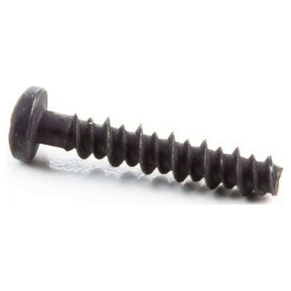 Briggs & Stratton Screw | 691138