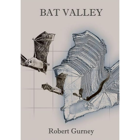 Bat Valley and Other Strange African Animal Stories (Paperback)