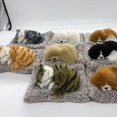thumbnail image 4 of Plush Simulation Cat Stuffed Toy Home Car Decor Embedded Bamboo Charcoal Bag, 4 of 8