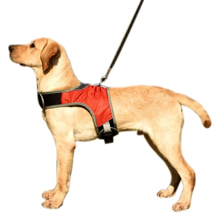 BT Bear Pet Harness Dog Harness Reflective Adjustable Vest Harness LED Chest Strap for Medium Large Dog (XL  Red)