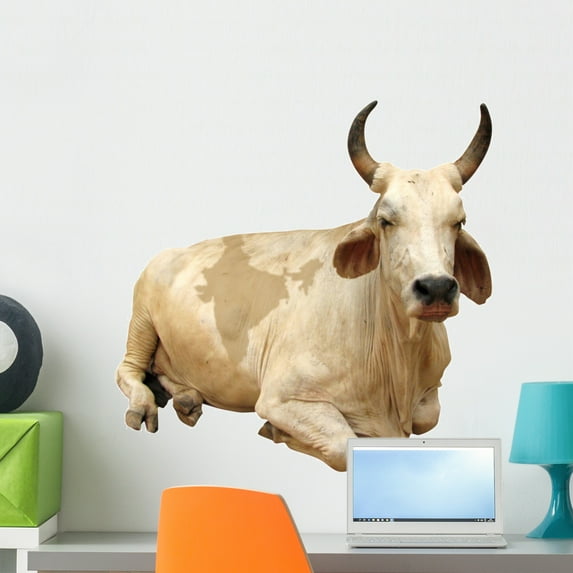 India Sacred Cow with Wall Mural by Wallmonkeys Peel and Stick Graphic (24 in W x 24 in H) WM282472