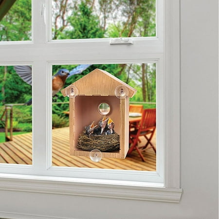 Spy House See Through Two way Mirrored Bird House - Suction Cup Window Mounted Bird Nesting Box