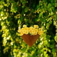thumbnail image 6 of KCAHPAN Indoor Outdoor Iron Plant Hanger Heart Shape Design Hanging Flower Holder with Hook Perfect for Garden Window Display, 6 of 16