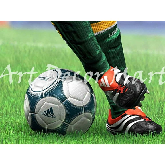 Soccer Balls - CANVAS OR FINE PRINT WALL ART