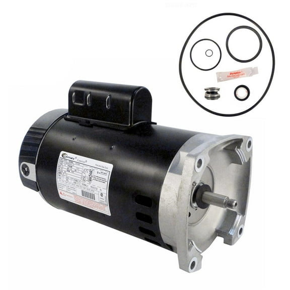 Puri Tech Sta-Rite SuperMax 2.5HP PHK2RAA6G-105L Replacement Motor Kit AO Smith B2840 w/GO-KIT-78