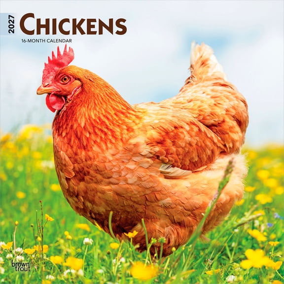 Chickens | 2027 12x24" (Hanging) Wall Calendar | Plastic-Free | BrownTrout