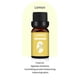 thumbnail image 1 of 10ML Candle Unilateral Sweet Orange Aromatherapy Teatree Oil Lavender DIY Candle Material Oil-Soluble Aromatherapy Essentialoil, 1 of 5
