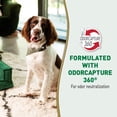 thumbnail image 3 of Destroyer de orina Nature's Miracle para perros, 1,89 L con pulverizador, 3 of 8