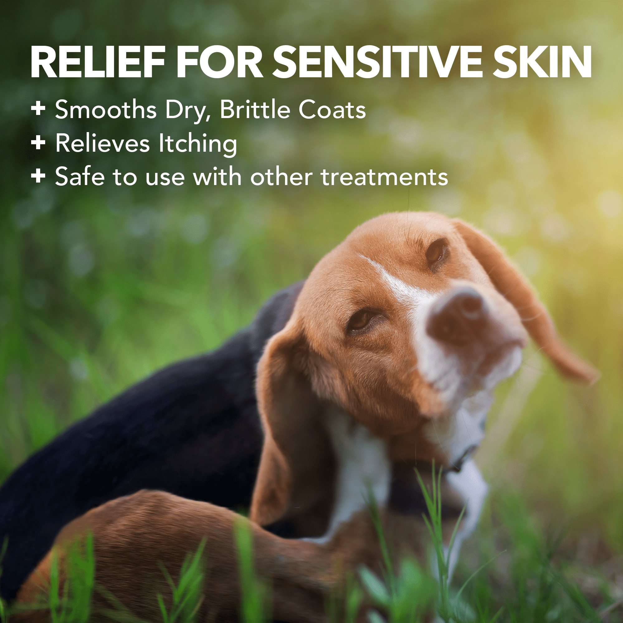 Best dog store shampoo walmart