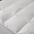 thumbnail image 5 of Royal Elite All Season Hutterite White Goose down Duvet, 5 of 5
