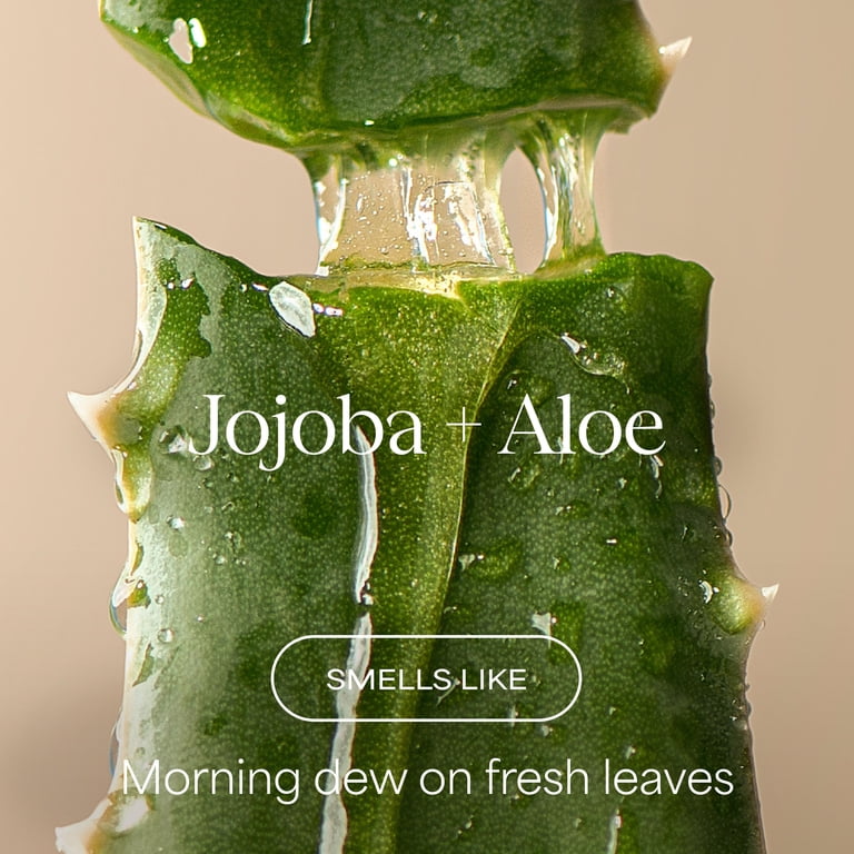 Raw Sugar Scalp Restore Shampoo, Jojoba & Aloe photo 2
