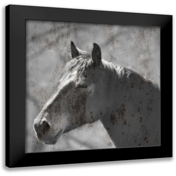 Phillip, Jamie 12x12 Black Modern Framed Museum Art Print Titled - White Horse