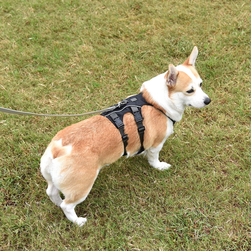 Pet Artist No Pull Dog Harness Escape Proof Reflective Adjustable Sport Vest with Handle Waterproof