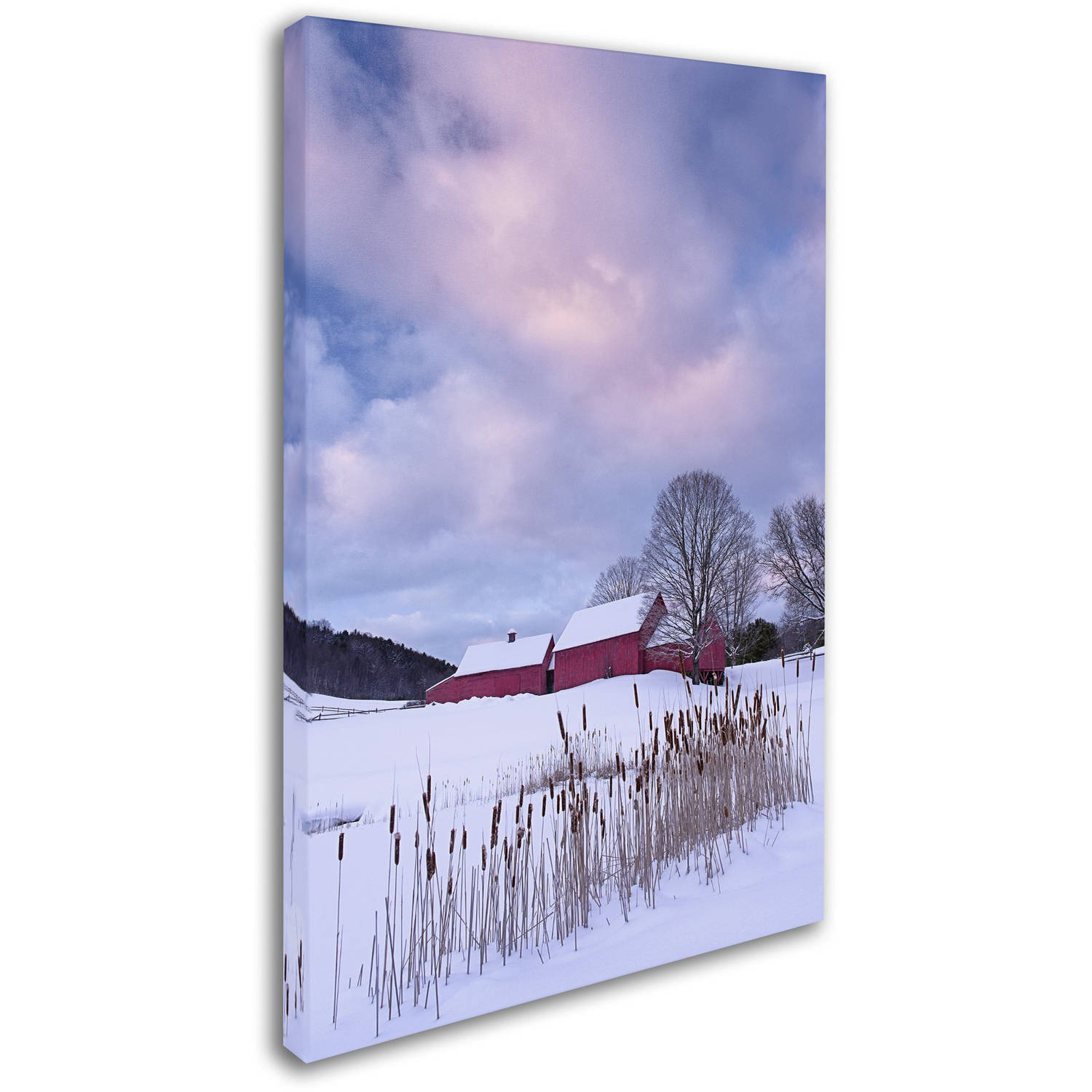 Trademark Fine Art "Cat O'Nine In Snow" Canvas Art by Michael Blanchette Photography