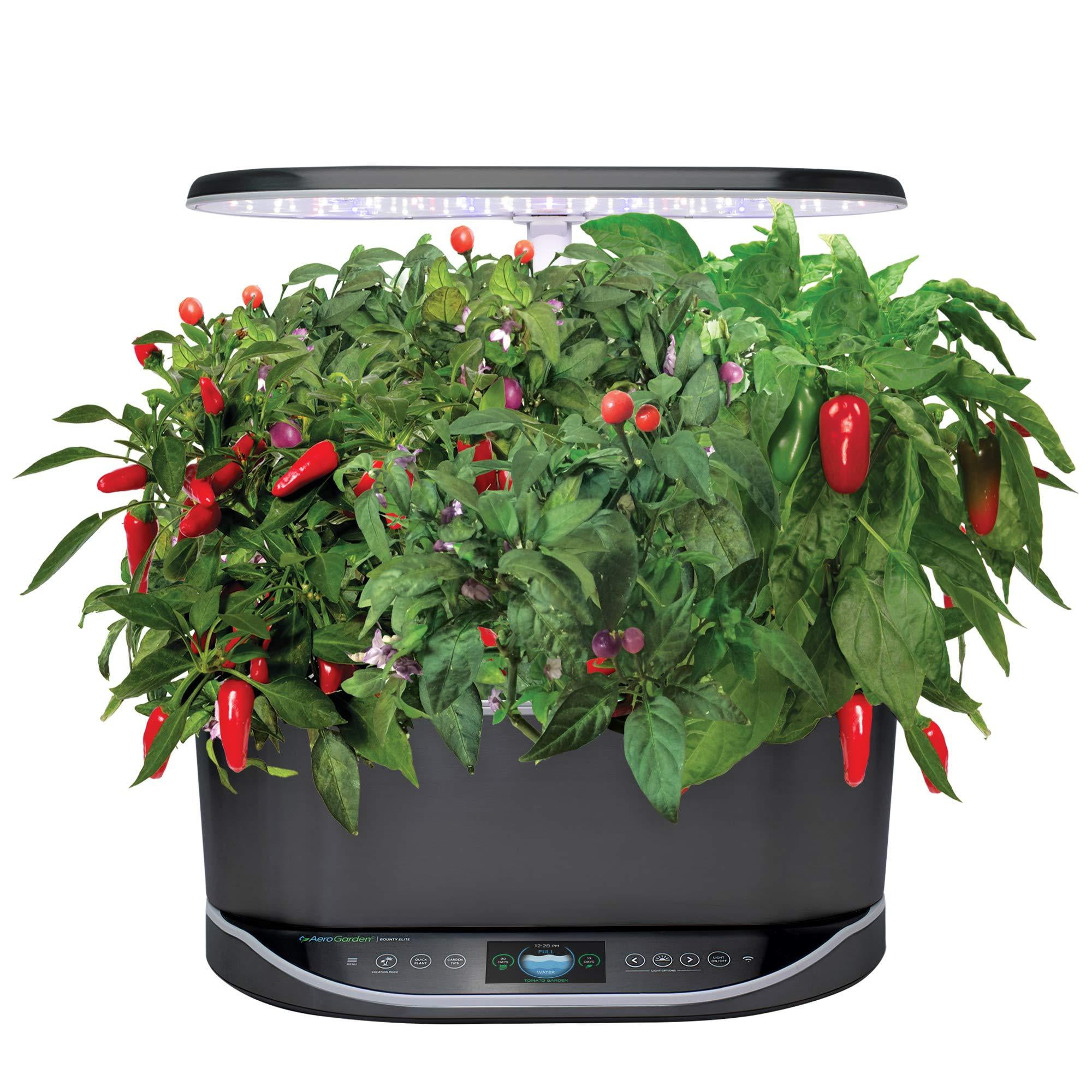 Aerogarden Spicy Chili Pepper Seed Pod Kit 9 9 Pod Walmart Com