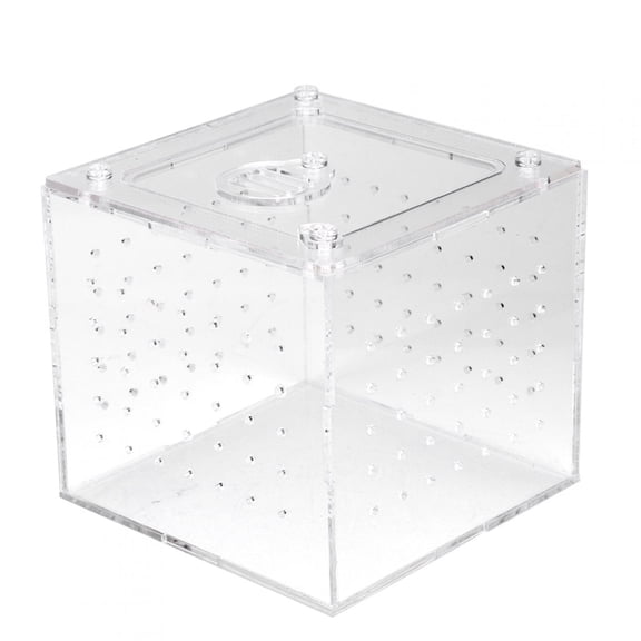 Orvunela Clear Acrylic Reptile Breeding Box Terrarium Enclosure with Ventilation Holes and Safety Lock Cover for Geckos Spiders 3.9x3.9x3.5 In