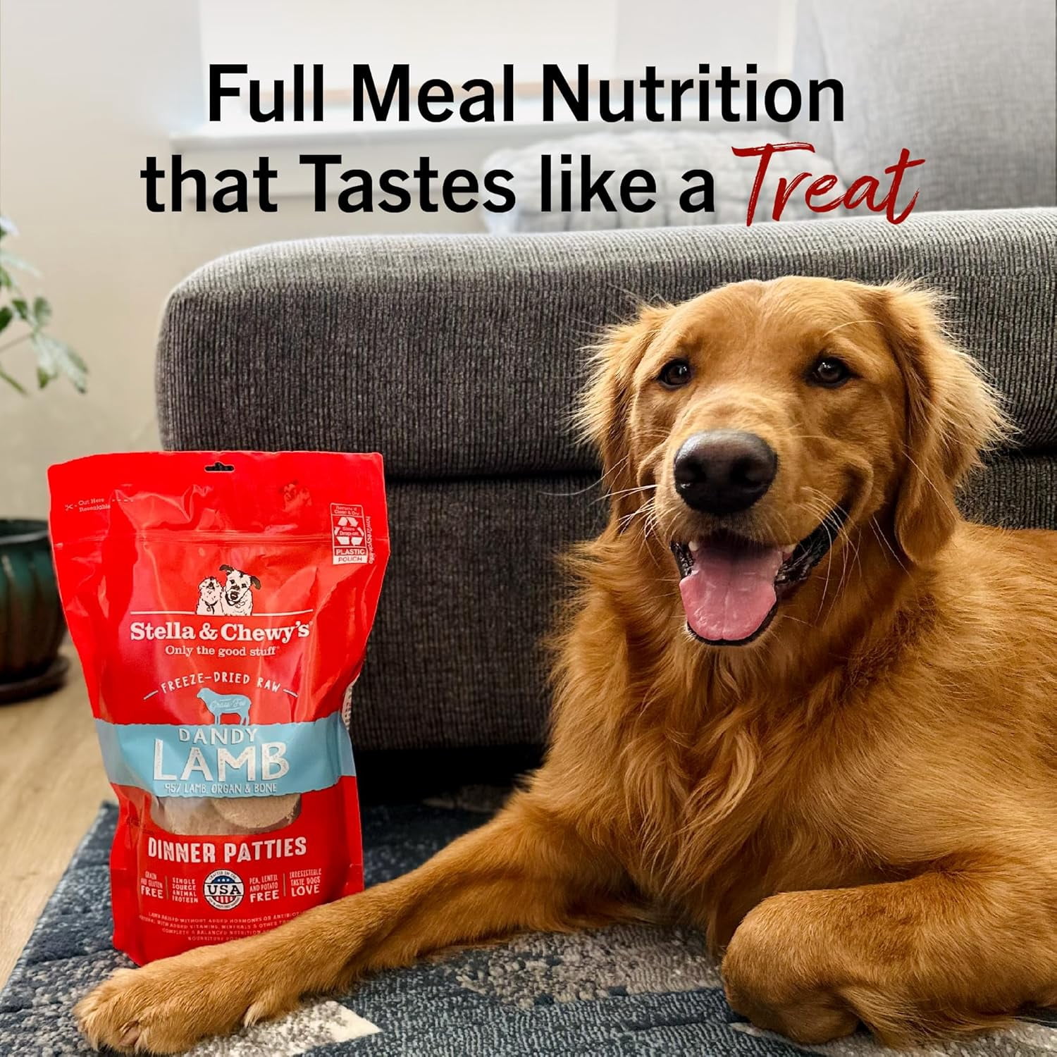Stella & Chewy's Freeze-Dried Raw Dinner Patties for Dogs - Dandy Lamb Recipe - 25 Ounce Bag
