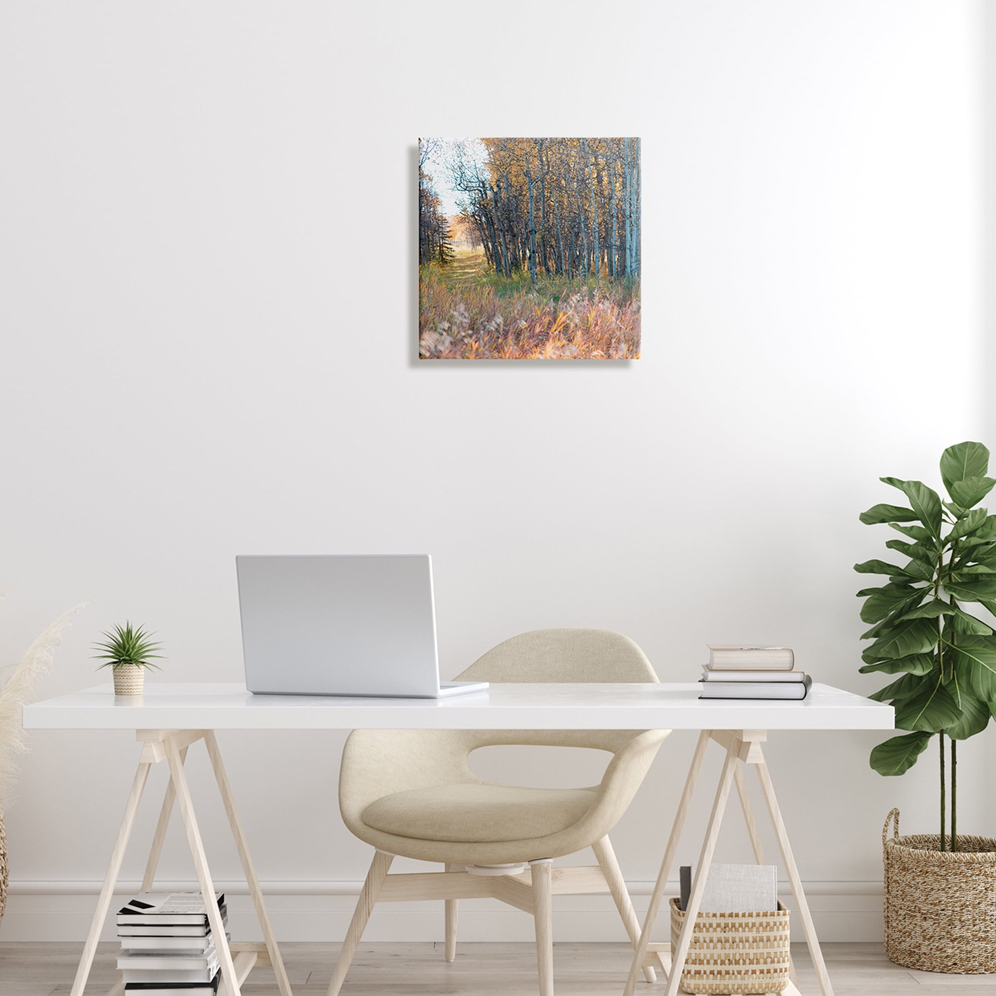Stupell Industries Autumn Birch Trees Grassy Path Woodlands Photography, 17 x 17, Design by Carol Robinson