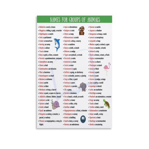 Animal Group Terminology Poster Group Names For Animals (3) Canvas Painting Wall Art