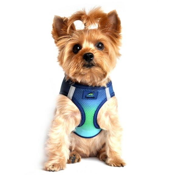 American River Choke-Free Dog Harness by Doggie Design - Northern Lights Ombre - Small