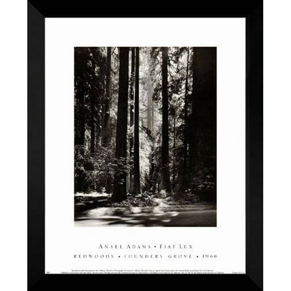 Ansel Adams FRAMED 24x30 "Redwoods, Founder's Grove"