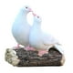 thumbnail image 5 of Pareja de palomas de pie sobre un tocón de árbol, estatua, figura, arte, adornos únicos para pájaros al aire libre, escultura de animales para patio y, 5 of 9