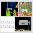 thumbnail image 3 of FESTFENDS 6Ud Reptiles Food Dish Con Ventosa Para Acuario Transparente De Acrílico Resistente, 3 of 8