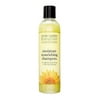JANE CARTER SOLUTION Moisture Nourishing Shampoo (8oz) - No Buildup, Non-Drying, Gentle Cleanser