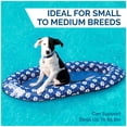 thumbnail image 3 of Flotador de primavera Dog Raft SwimWays Paddle Paws para perros pequeños, 3 of 6