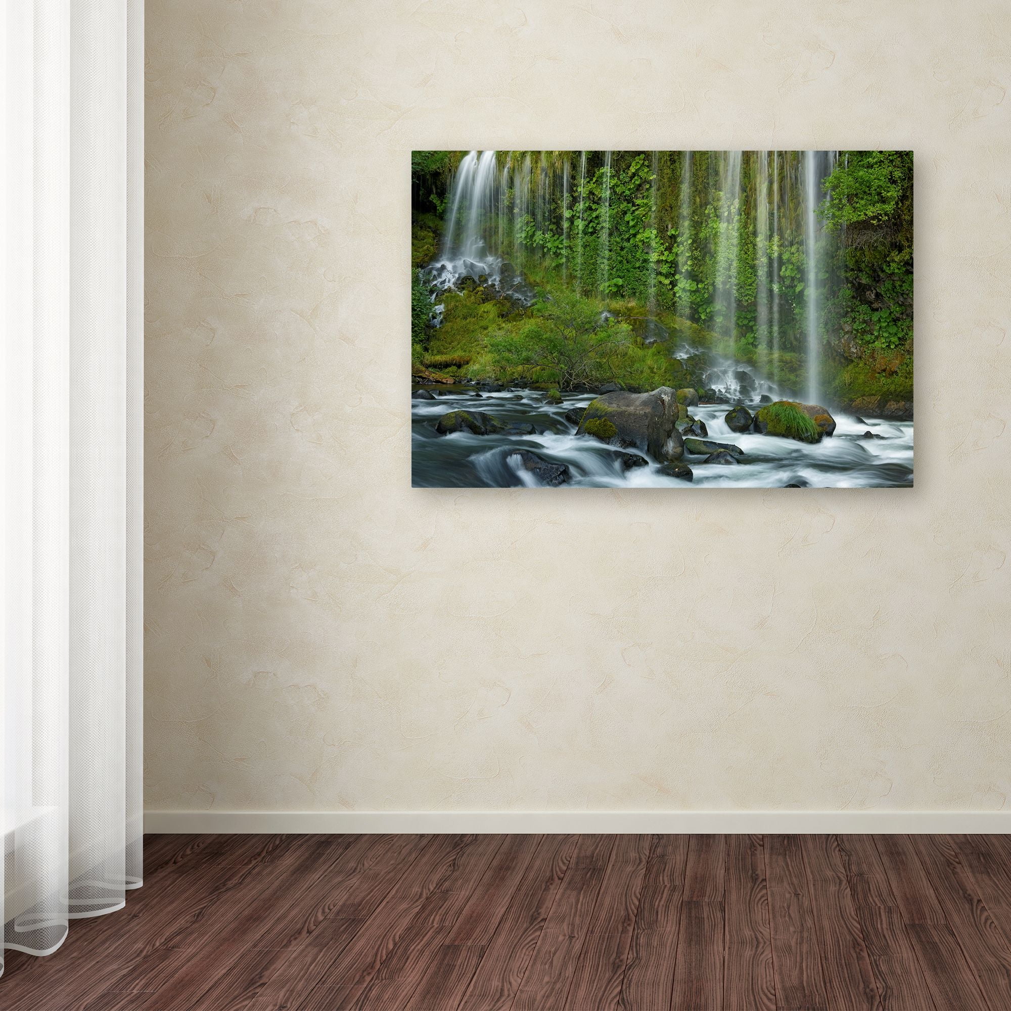 Trademark Fine Art 'Mossbrae Falls' Canvas Art by Mike Jones Photo