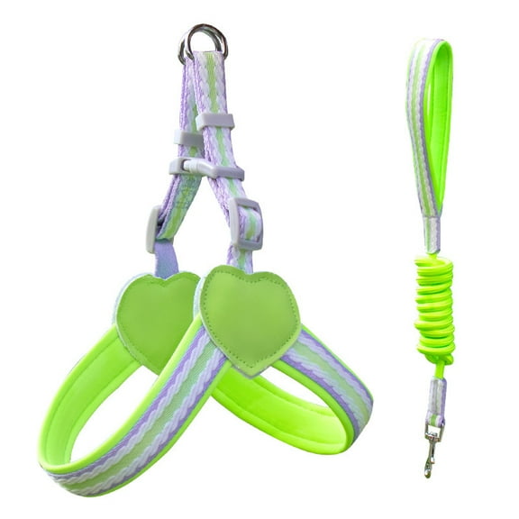 Dog Harness and Leash Combo, Escape Proof No Pull Vest Harness, Step-in Reflective Adjustable Soft Padded Pet Harness for Small to Large Dogs