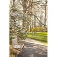 thumbnail image 3 of Millet, Karyn 13x18 Black Modern Framed Museum Art Print Titled - In the Park II, 3 of 5