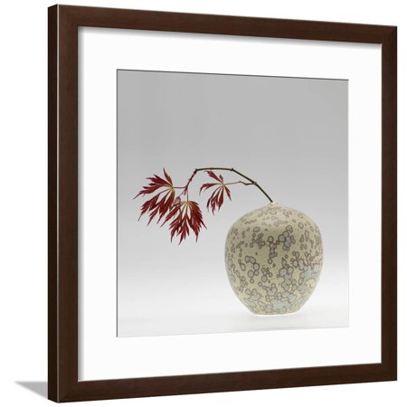 New Chinese Maple Framed Print Wall Art By Geoffrey Ansel Agrons