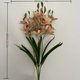 thumbnail image 3 of Ramo de hibiscos en miniatura 3D de 5 piezas, perfecto for decoración del hogar, bodas, exteriores y fiestas., 3 of 5