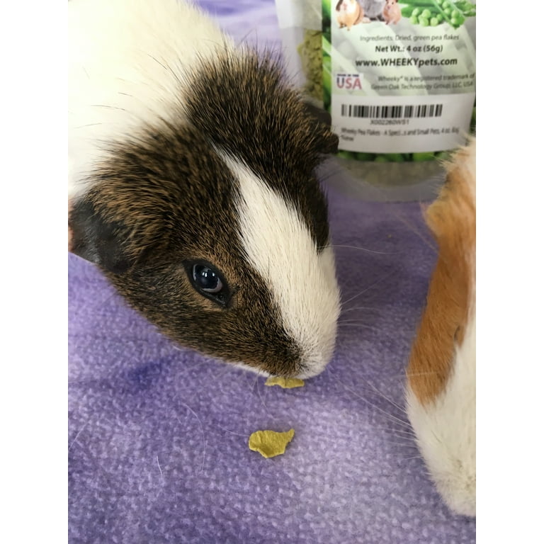 Can guinea pigs 2025 eat garden peas