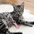thumbnail image 1 of Durable Interactive Dog Chew Toy for Aggressive Chewers Long Lasting Bone Design Promotes Health and Playful Engagement, 1 of 4
