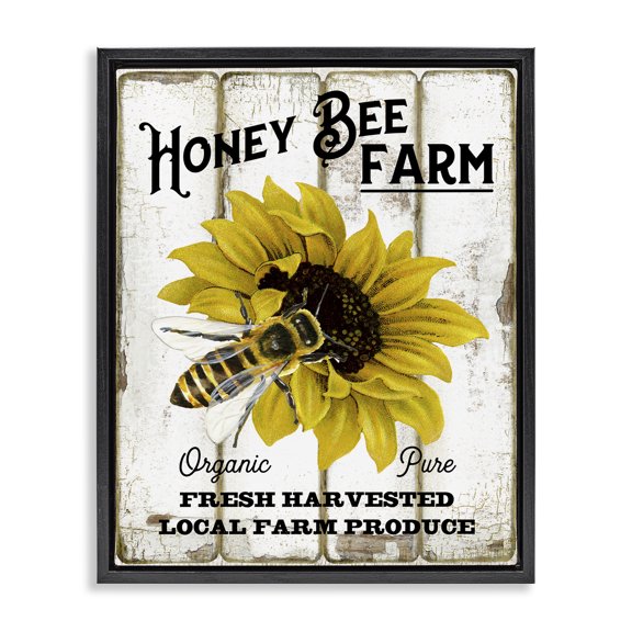 Stupell Industries Honey Bee Farm Insects Painting Black Floater Framed Canvas Art Print Wall Art, 17 x 21