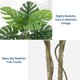 thumbnail image 3 of QinaQin Planta Monstera deliciosa artificial con poste curvo y hojas ajustables, ideal para decoración tropical en sala, oficina o recámara, 3 of 8