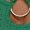 Green2, variant on Tank Tops for Women V Neck Eyelet Cutout Strappy Summer Going Out Tops