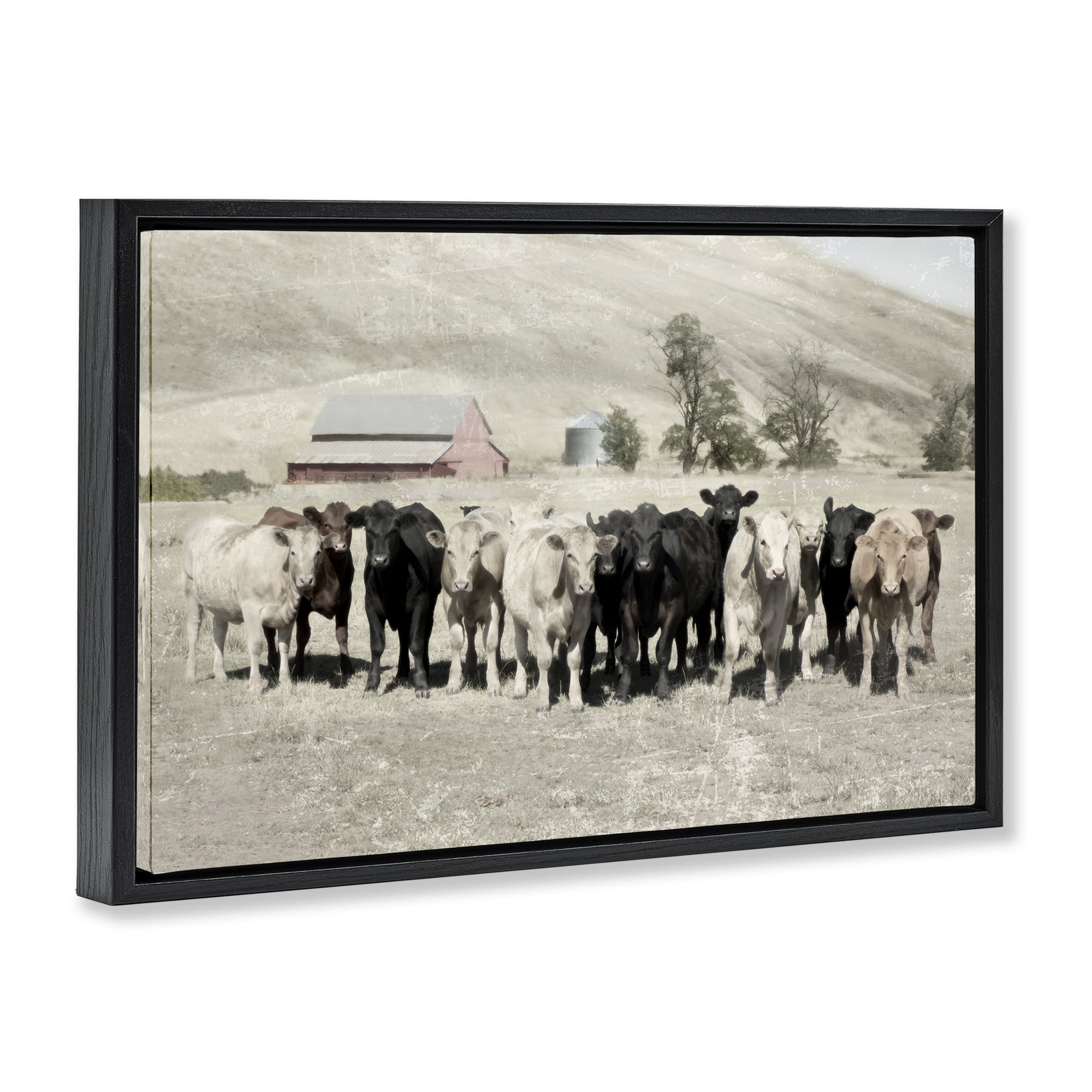 Stupell Industries Varied Cattle on Farm Landscape Painting Black Floater Framed Canvas Art Print Wall Art, 25 x 17