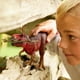 thumbnail image 2 of Figura de acción Schleich Dinosaurs Tyrannosaurus Rex, 2 of 6