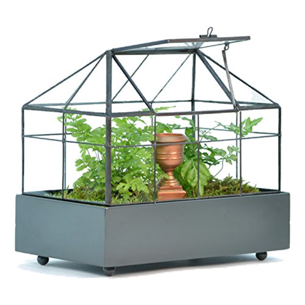 H Potter Rectangular Glass Terrarium Wardian Case Handcrafted Tabletop