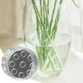 HBASD 2024 Spiral Stem Holder for Flowers, Spiral Stem Holder for Vases