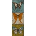 thumbnail image 2 of Pinto, Patricia 11x24 Gold Ornate Wood Framed with Double Matting Museum Art Print Titled - Blue Wings I, 2 of 4